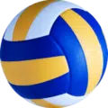 volleyball net mikasa
